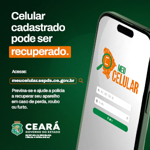 Celular cadastrado pode ser recuperado.