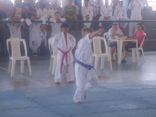 Final do Circuito Intercolegial de Karate - Foto 38