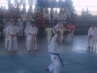 Final do Circuito Intercolegial de Karate - Foto 39
