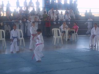 Final do Circuito Intercolegial de Karate - Foto 40