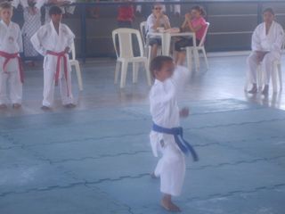 Final do Circuito Intercolegial de Karate - Foto 41
