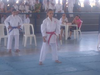 Final do Circuito Intercolegial de Karate - Foto 43
