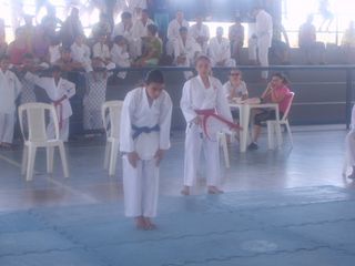 Final do Circuito Intercolegial de Karate - Foto 45