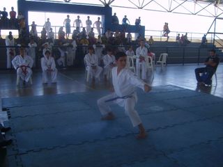 Final do Circuito Intercolegial de Karate - Foto 54