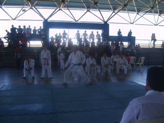 Final do Circuito Intercolegial de Karate - Foto 56