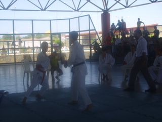 Final do Circuito Intercolegial de Karate - Foto 71