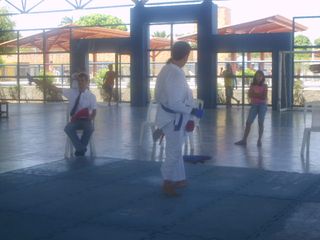 Final do Circuito Intercolegial de Karate - Foto 74