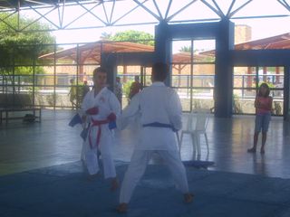 Final do Circuito Intercolegial de Karate - Foto 75