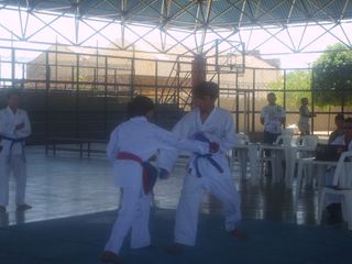 Final do Circuito Intercolegial de Karate - Foto 83