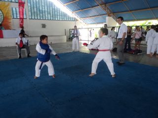 Copa de Karate - Foto 101