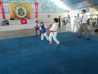 Copa de Karate - Foto 102