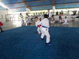 Copa de Karate - Foto 104