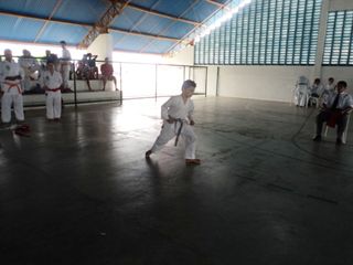 Copa de Karate - Foto 105