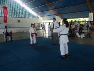 Copa de Karate - Foto 106