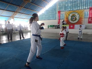 Copa de Karate - Foto 108