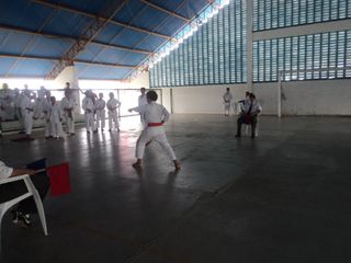 Copa de Karate - Foto 111