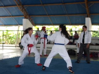 Copa de Karate - Foto 141