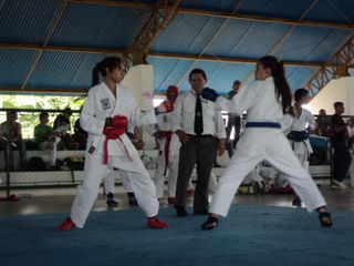 Copa de Karate - Foto 149