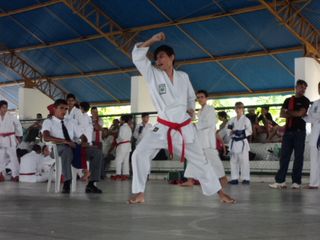 Copa de Karate - Foto 155