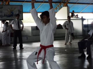 Copa de Karate - Foto 162