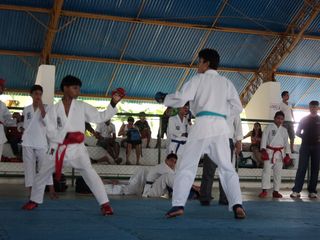Copa de Karate - Foto 173