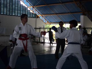 Copa de Karate - Foto 211