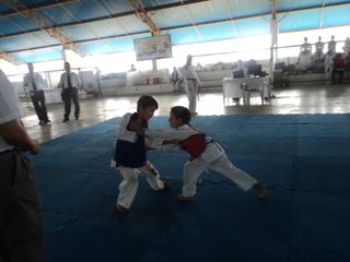 Copa de Karate - Foto 22