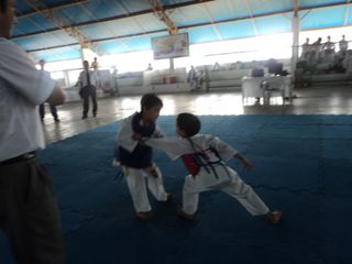 Copa de Karate - Foto 23