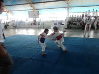 Copa de Karate - Foto 26