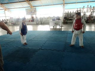 Copa de Karate - Foto 27