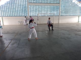 Copa de Karate - Foto 33