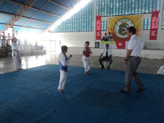 Copa de Karate - Foto 35