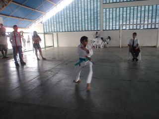 Copa de Karate - Foto 37