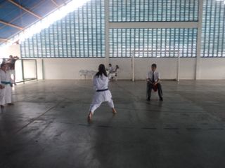 Copa de Karate - Foto 41