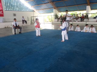 Copa de Karate - Foto 43