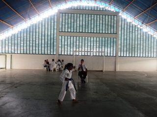 Copa de Karate - Foto 44