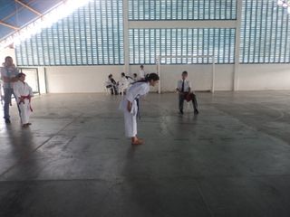 Copa de Karate - Foto 46