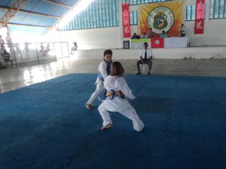 Copa de Karate - Foto 47
