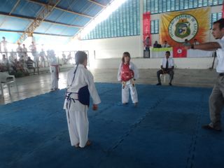 Copa de Karate - Foto 48