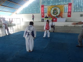 Copa de Karate - Foto 49