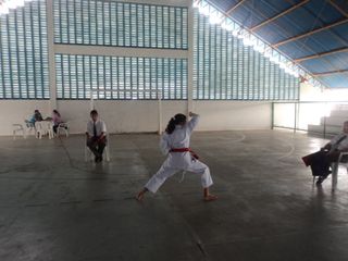 Copa de Karate - Foto 63