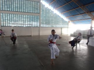 Copa de Karate - Foto 64