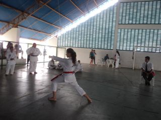 Copa de Karate - Foto 66
