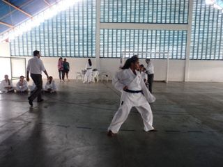 Copa de Karate - Foto 67