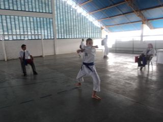 Copa de Karate - Foto 71