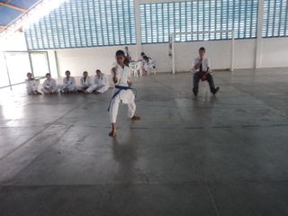 Copa de Karate - Foto 74