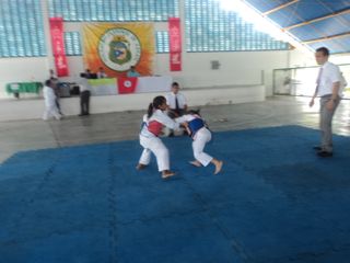 Copa de Karate - Foto 81