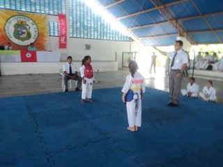 Copa de Karate - Foto 84