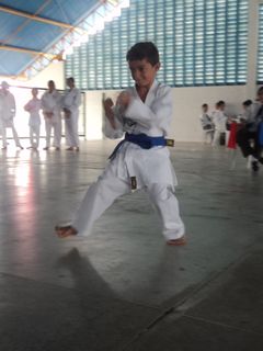 Copa de Karate - Foto 88