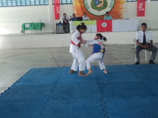 Copa de Karate - Foto 91